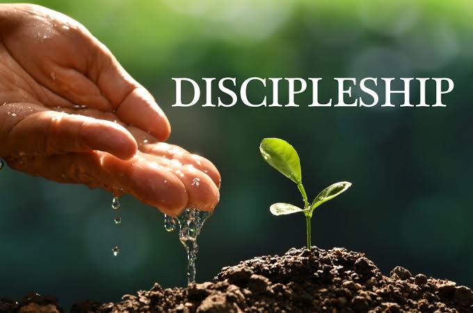 disciplineship